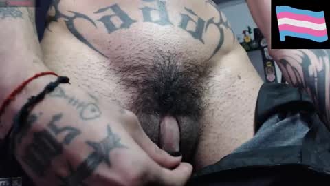 Zeldris online show from February 2025 06:37:01 PM