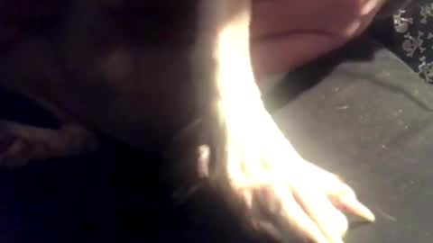 zero online show from March 2025 08:13:01 AM