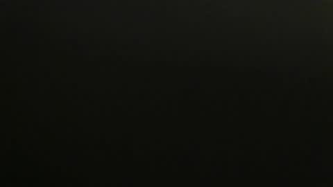 ZFanatic online show from February 2025 04:54:02 PM