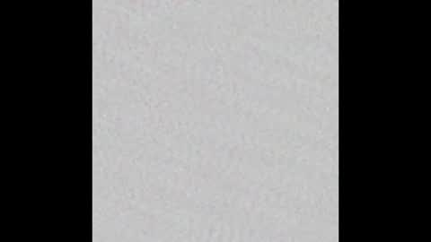 zhally_dee online show from March 2025 11:53:01 AM