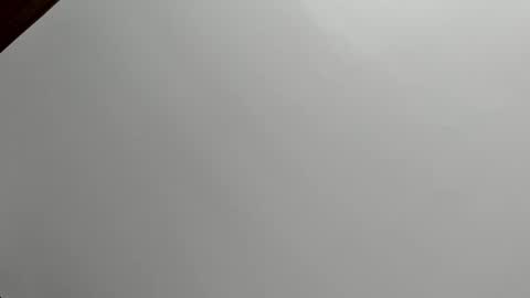 zia online show from December 2025 01:16:02 PM