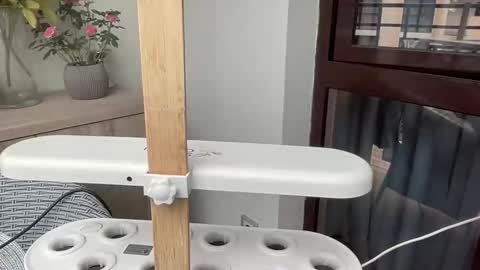 Nensi online show from April 2026 02:40:01 PM