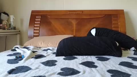 Ziggy ziggy-   online show from December 2024 03:30:01 AM