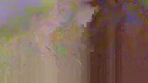 zobrythickock online show from October 2025 05:25:02 PM