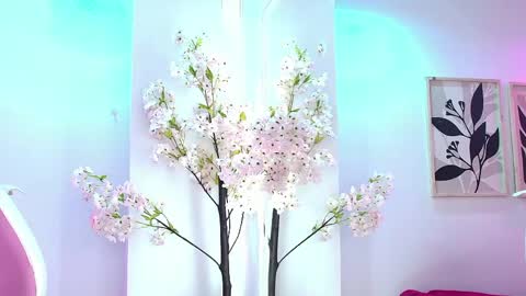 Zoe online show from May 2026 12:40:02 AM