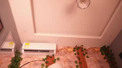 zoey fox  online show from August 2026 11:03:02 PM