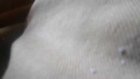 Snapshot of zoeybaby555gfr chatting on June 2026 05:08:01 PM bigdickdaddy online show from June 2026 05:08:01 PM