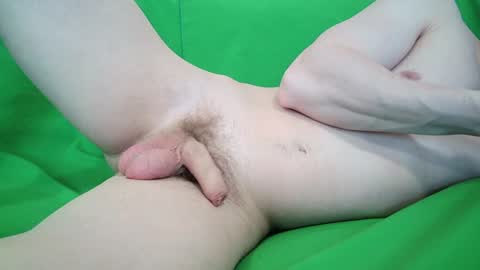 Zordy online show from December 2024 10:45:02 AM