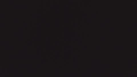 ZURY   online show from October 2025 11:32:02 AM