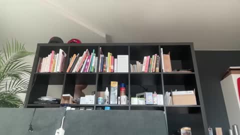 zwickauer1969 online show from February 2025 08:06:02 AM