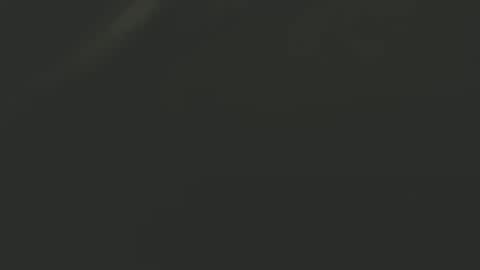 zx66_pyro online show from December 2024 03:47:02 AM