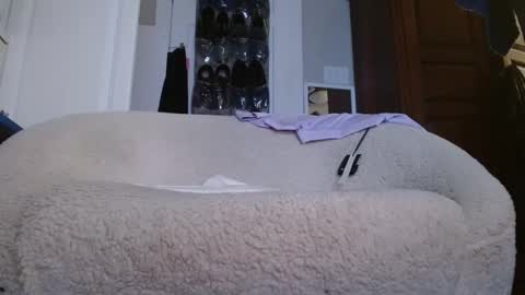 Snapshot of zymase chatting on January 2025 11:27:02 PM zymase online show from January 2025 11:27:02 PM