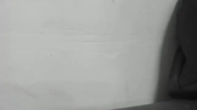 roxana collins online show from January 2025 02:30:01 AM