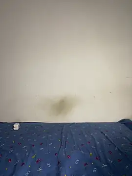 BandySL online show from December 2024 02:54:01 AM