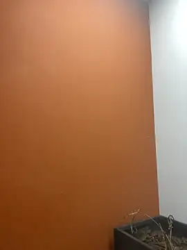 YesTheSexiest online show from November 2025 09:20:01 AM