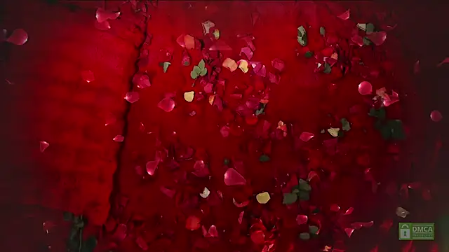 abbyhall  online show from February 2026 08:49:02 PM