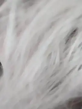 Linda Gregory online show from December 2024 07:39:02 AM