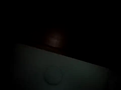 Linda Gregory online show from February 2025 04:31:01 AM