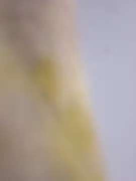 Mane leet online show from January 2026 01:50:01 PM