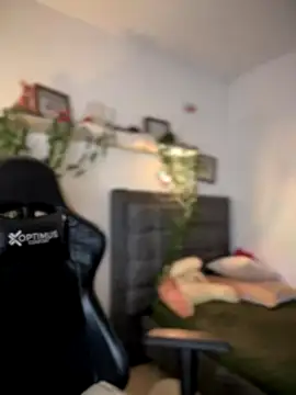 Lia flowers online show from September 2025 12:54:01 AM