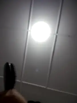 Lia flowers online show from November 2025 12:35:01 AM