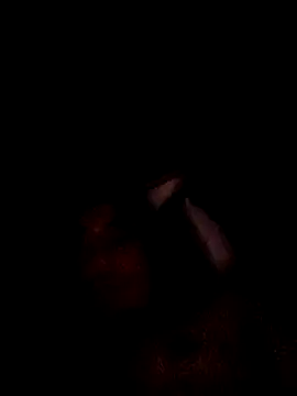 hungpenis210 online show from February 2026 10:23:01 AM