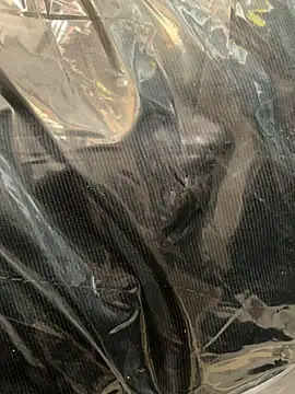 Snapshot of wSilEliaXm chatting on January 2025 07:42:01 AM wSilEliaXm online show from January 2025 07:42:01 AM