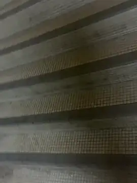 Snapshot of wSilEliaXm chatting on September 2025 02:56:02 AM wSilEliaXm online show from September 2025 02:56:02 AM