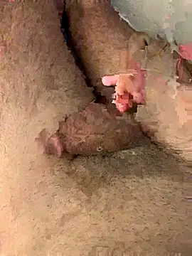 Aden P2 online show from September 2025 12:55:02 AM