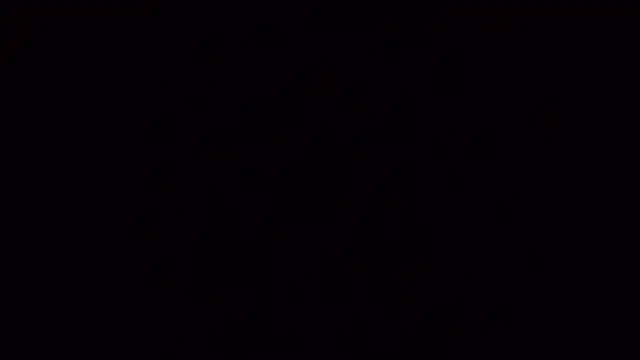 PartyguySLC78 online show from February 2025 12:27:02 AM