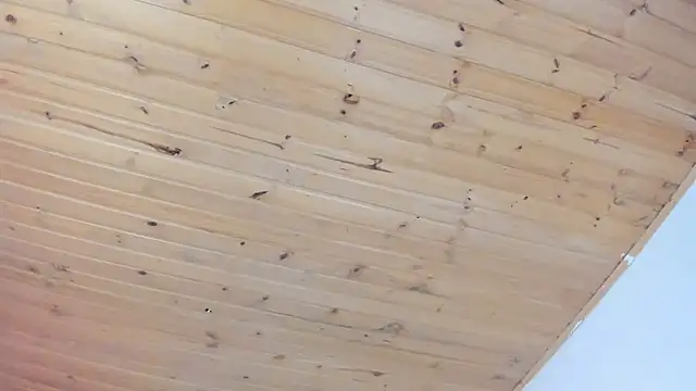 cristal  hot 1 online show from February 2025 04:03:01 AM