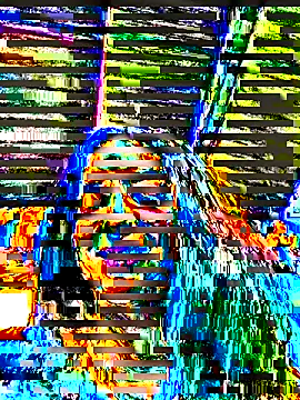 Sam Sara online show from December 2025 06:37:02 PM