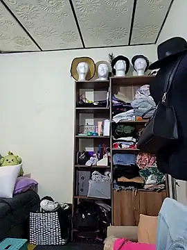 Sakura 0505 online show from January 2025 09:37:01 PM