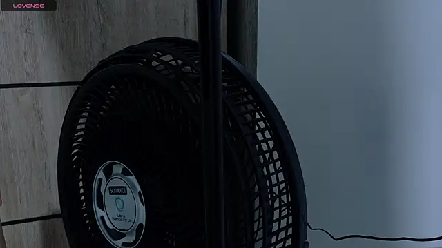 Sajar-bentaleb01 online show from September 2025 04:03:01 AM