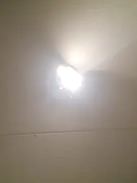 bink1982 online show from February 2026 05:44:02 PM