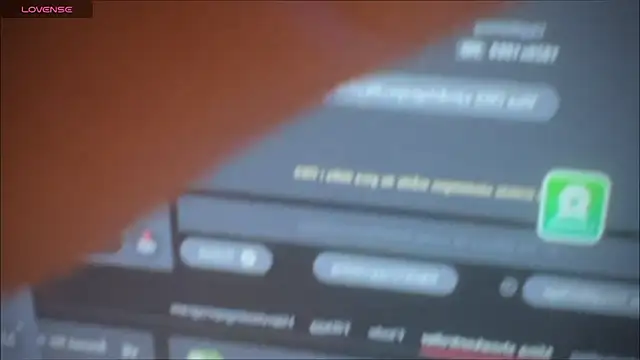 master 227 online show from January 2025 06:38:01 AM