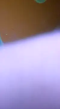 ducicsajsziii online show from January 2025 05:54:02 AM