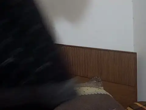 shekira99 online show from March 2026 01:57:02 PM