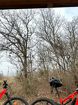 petrouchkaaa  online show from March 2026 09:38:02 AM