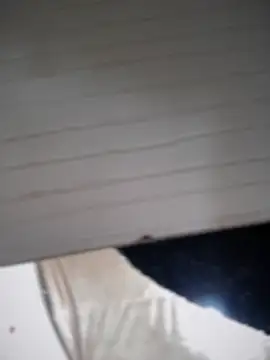 lilian prada online show from April 2026 04:34:01 PM