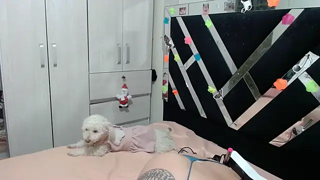 katery wok11 online show from April 2026 04:09:02 AM