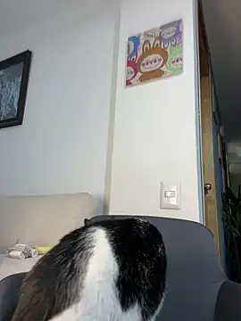 ananya sex1 online show from March 2026 05:57:02 AM