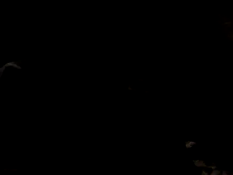 Nawtyslaveteen online show from November 2025 08:30:01 PM