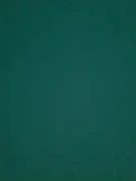 Ruby bear online show from March 2025 08:55:01 AM