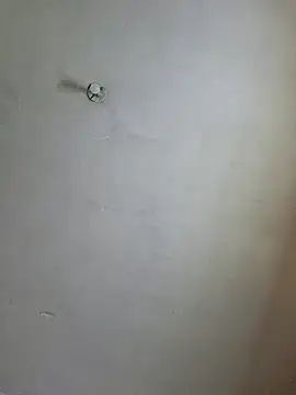 Snapshot of Ricorry@xh chatting on December 2024 05:29:02 AM Ricorryxh online show from December 2024 05:29:02 AM