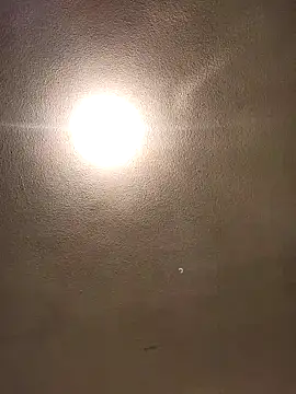 Snapshot of Ricorry@xh chatting on February 2025 06:17:02 AM Ricorryxh online show from February 2025 06:17:02 AM