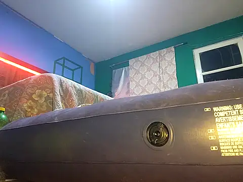 Snapshot of Ricorry@xh chatting on October 2025 07:49:02 AM Ricorryxh online show from October 2025 07:49:02 AM