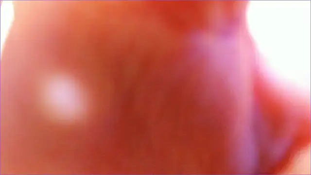 iolantthe online show from December 2024 09:20:01 PM