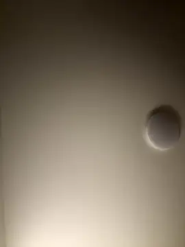 Dreamer553 online show from December 2025 12:31:02 AM