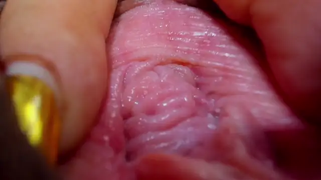 Snapshot of tatiana_big_ass_boobs chatting on February 2025 12:38:02 AM tatiana big ass boobs online show from February 2025 12:38:02 AM